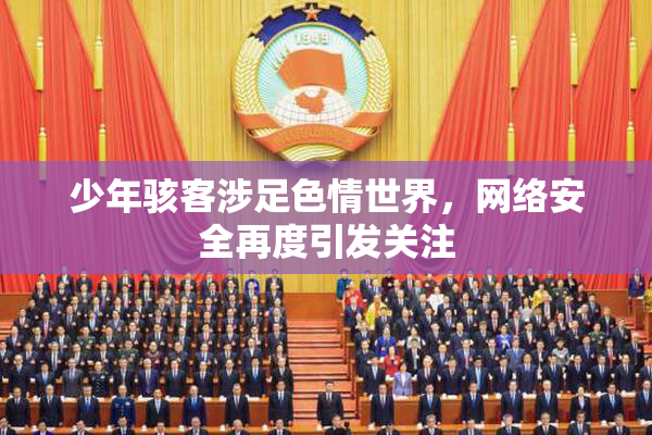 少年骇客涉足色情世界，网络安全再度引发关注