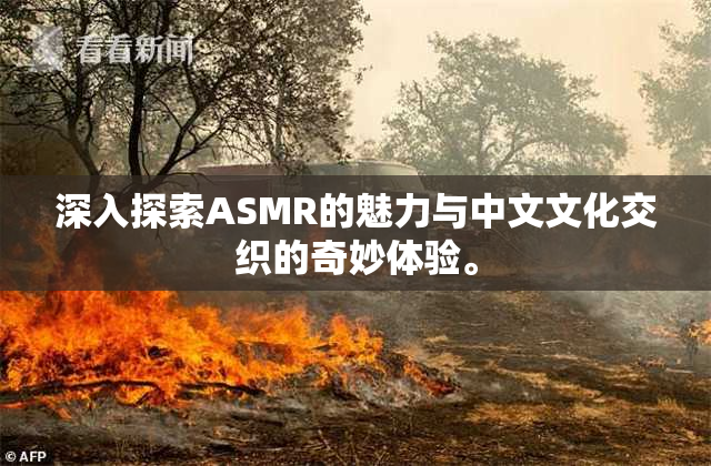 深入探索ASMR的魅力与中文文化交织的奇妙体验。