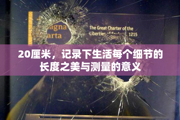 20厘米，记录下生活每个细节的长度之美与测量的意义