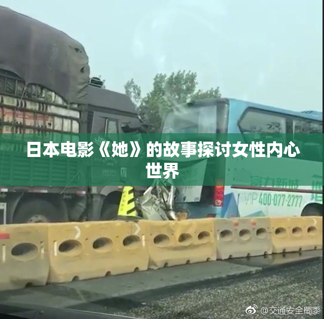 日本电影《她》的故事探讨女性内心世界