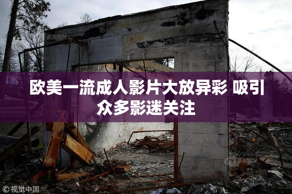 欧美一流成人影片大放异彩 吸引众多影迷关注