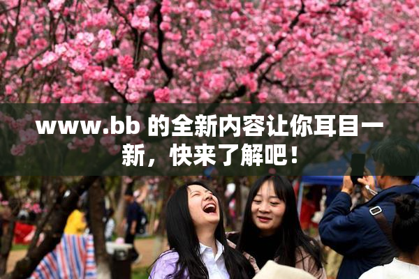 www.bb 的全新内容让你耳目一新，快来了解吧！