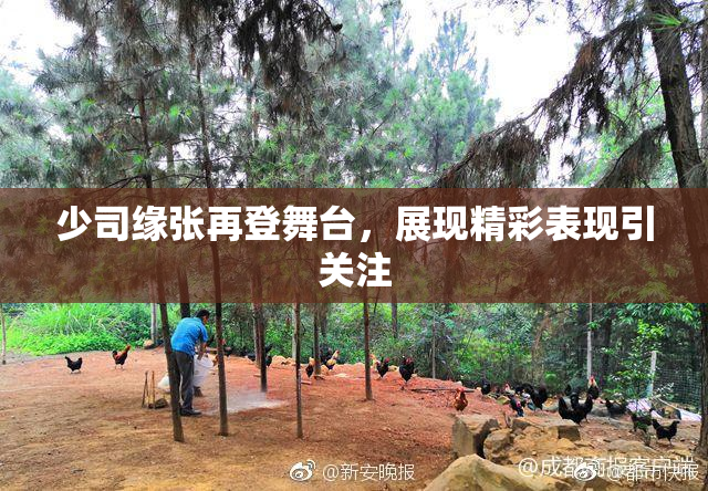 少司缘张再登舞台，展现精彩表现引关注