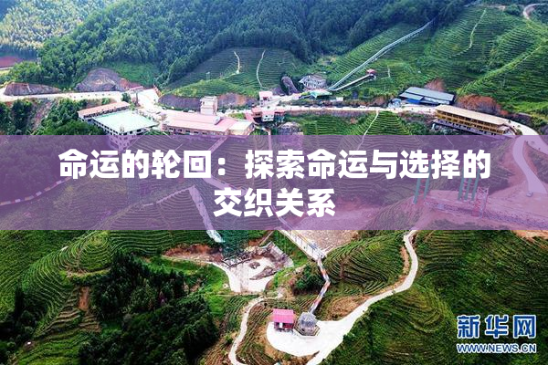 命运的轮回：探索命运与选择的交织关系