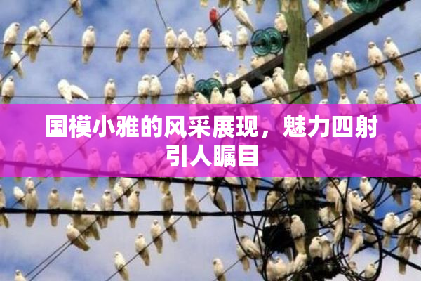 国模小雅的风采展现，魅力四射引人瞩目