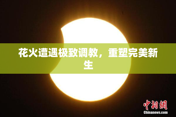 花火遭遇极致调教，重塑完美新生