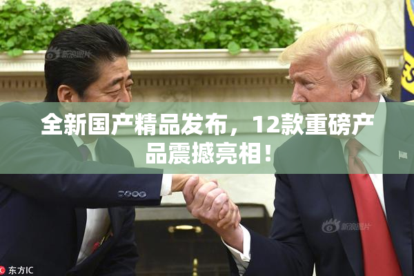 全新国产精品发布，12款重磅产品震撼亮相！