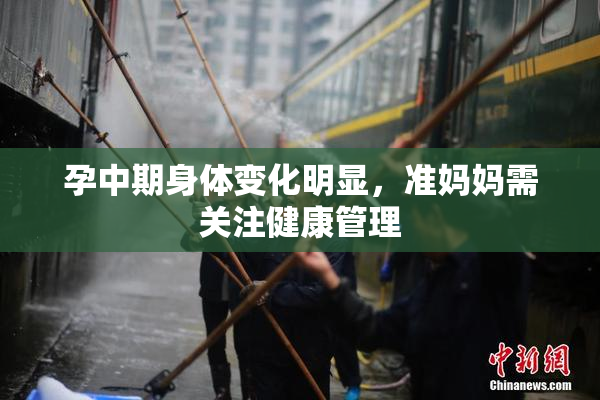 孕中期身体变化明显，准妈妈需关注健康管理