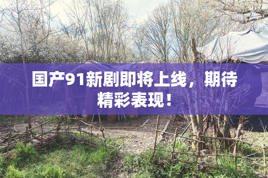 国产91新剧即将上线，期待精彩表现！