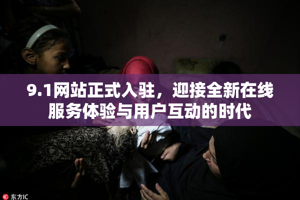 9.1网站正式入驻，迎接全新在线服务体验与用户互动的时代