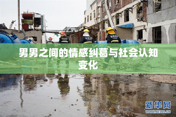 男男之间的情感纠葛与社会认知变化