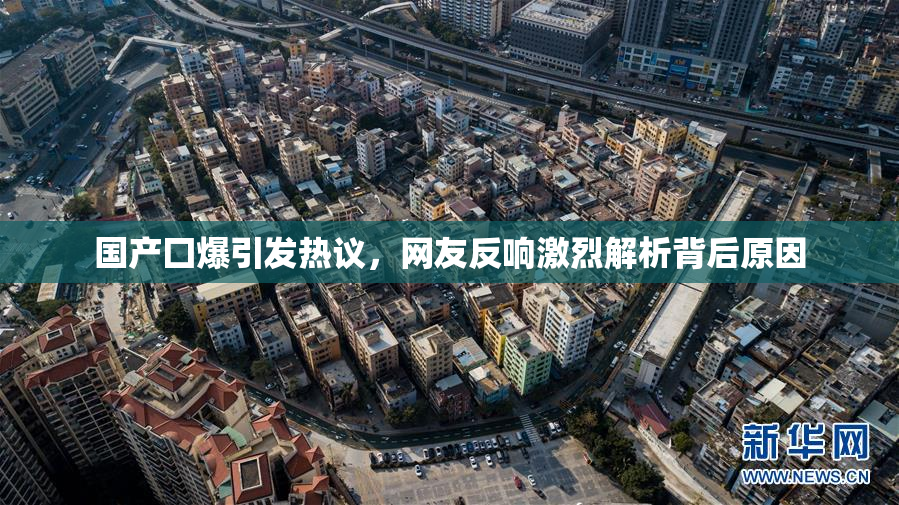 国产囗爆引发热议，网友反响激烈解析背后原因