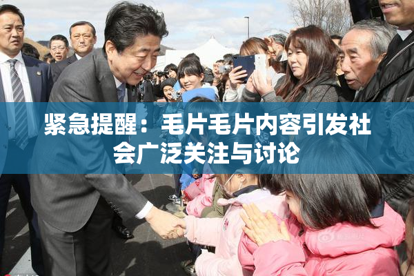 紧急提醒：毛片毛片内容引发社会广泛关注与讨论