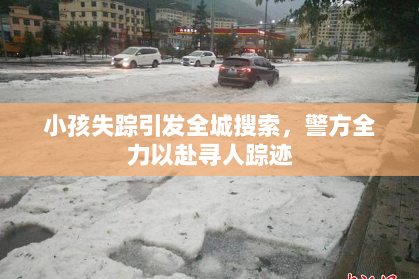 小孩失踪引发全城搜索，警方全力以赴寻人踪迹