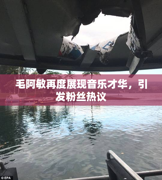 毛阿敏再度展现音乐才华，引发粉丝热议
