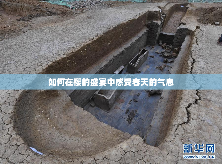 如何在樱的盛宴中感受春天的气息