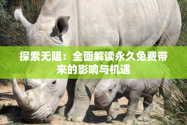 探索无阻：全面解读永久免费带来的影响与机遇