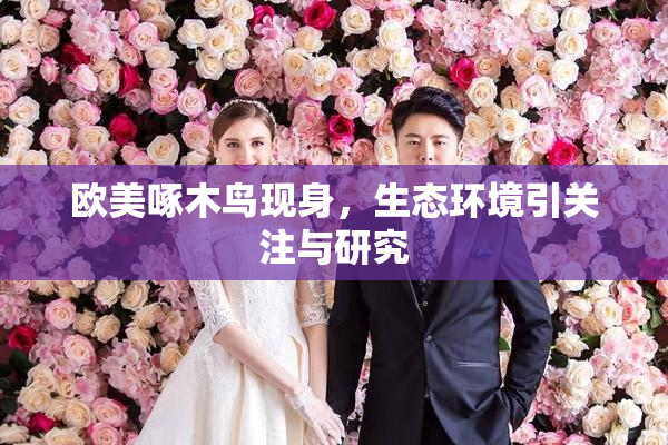 欧美啄木鸟现身，生态环境引关注与研究