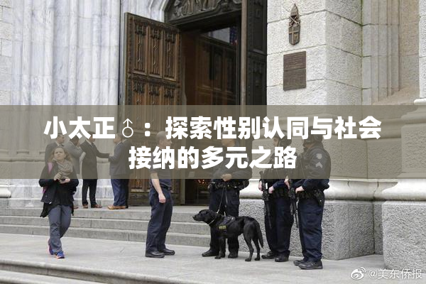 小太正♂：探索性别认同与社会接纳的多元之路