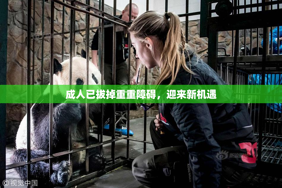 成人已拔掉重重障碍，迎来新机遇