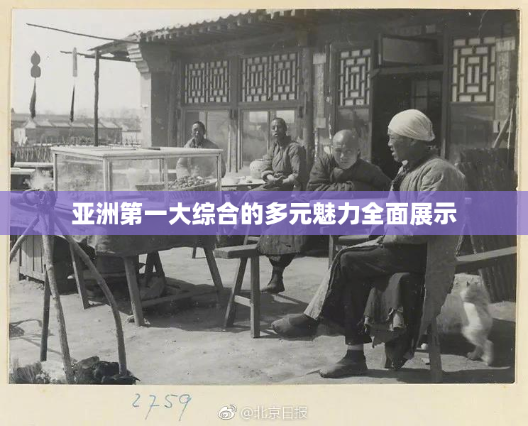 亚洲第一大综合的多元魅力全面展示
