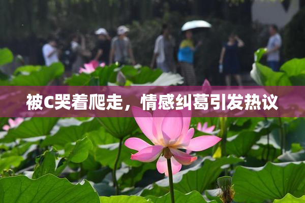 被C哭着爬走，情感纠葛引发热议
