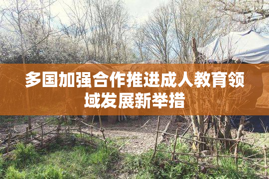 多国加强合作推进成人教育领域发展新举措