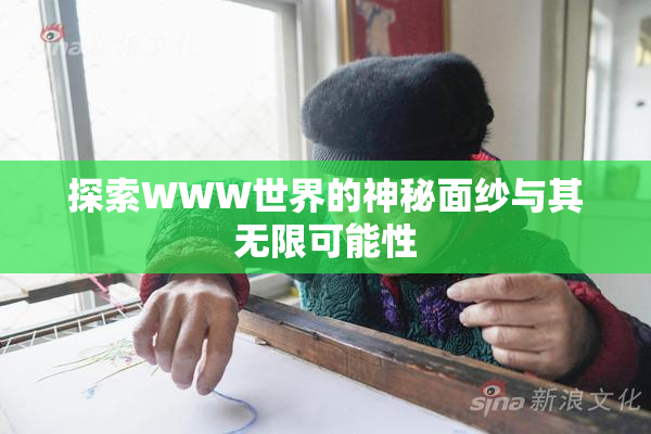 探索WWW世界的神秘面纱与其无限可能性