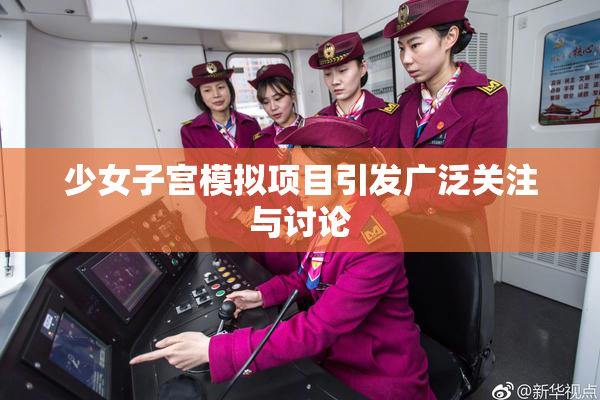 少女子宫模拟项目引发广泛关注与讨论