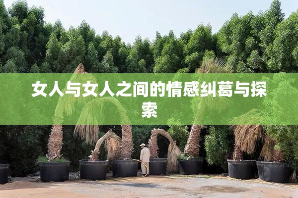 女人与女人之间的情感纠葛与探索