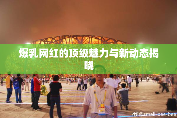 爆乳网红的顶级魅力与新动态揭晓