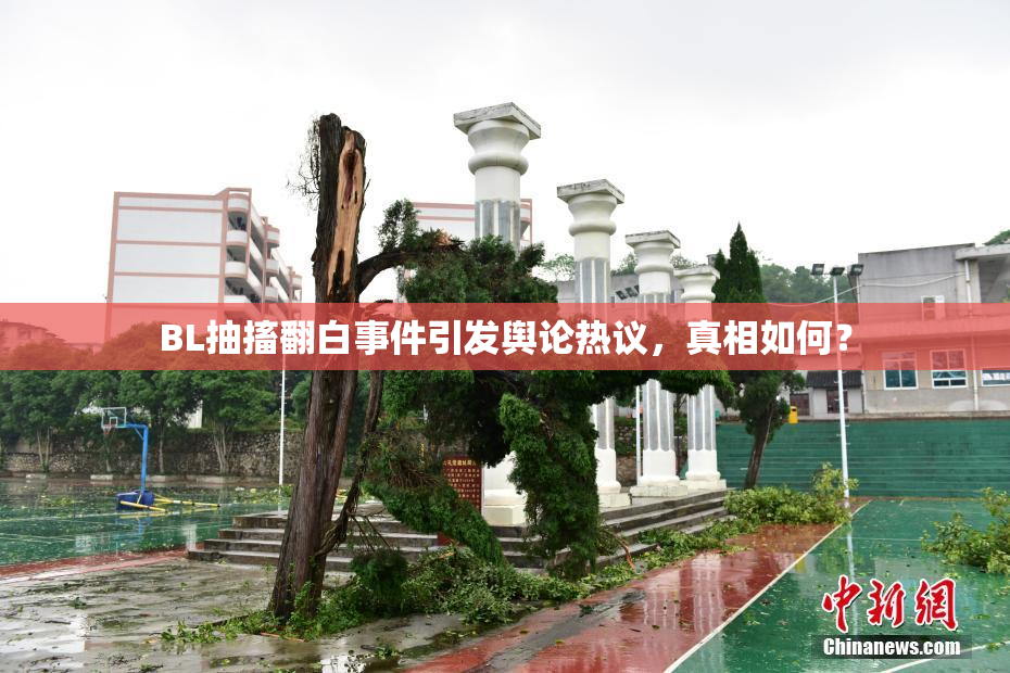 BL抽搐翻白事件引发舆论热议，真相如何？