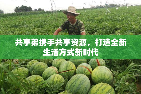 共享弟携手共享资源，打造全新生活方式新时代