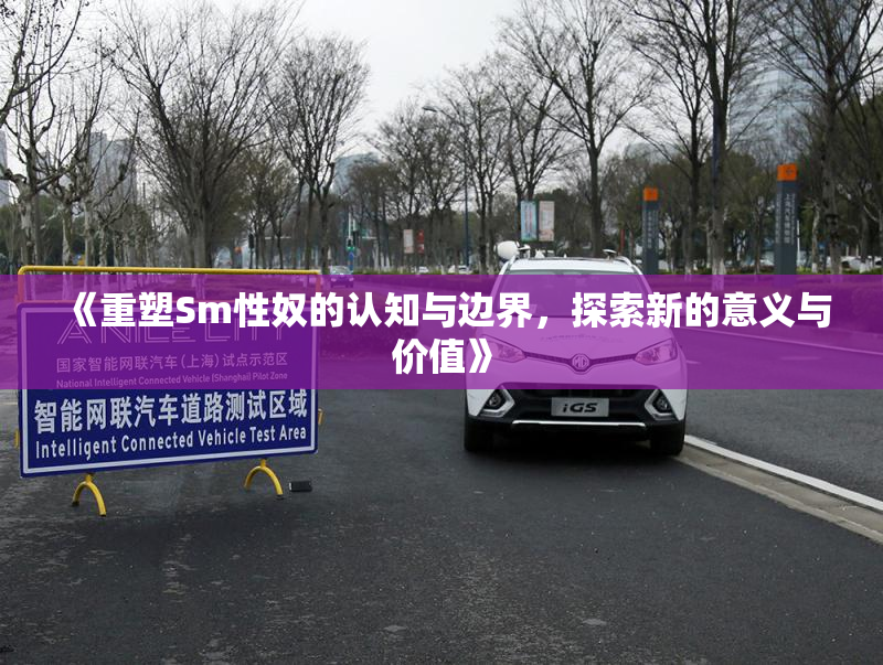 《重塑Sm性奴的认知与边界，探索新的意义与价值》