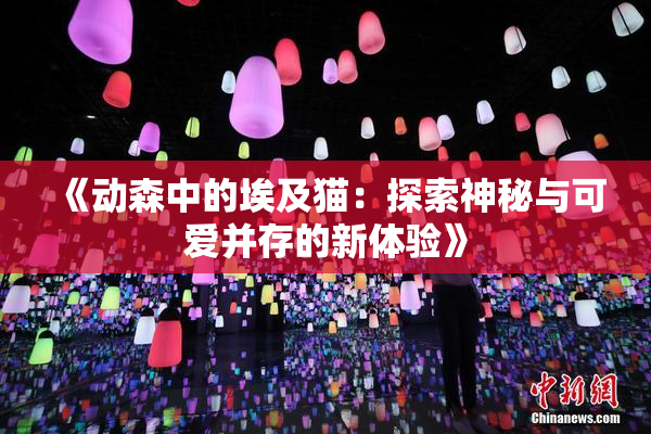 《动森中的埃及猫：探索神秘与可爱并存的新体验》