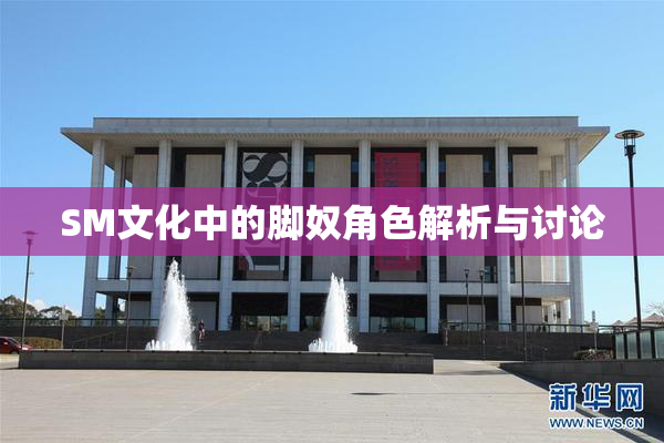 SM文化中的脚奴角色解析与讨论