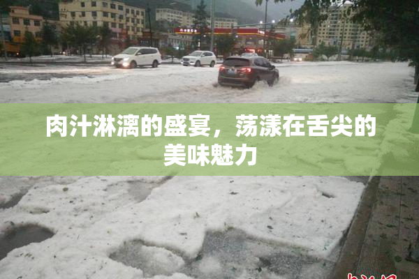 肉汁淋漓的盛宴，荡漾在舌尖的美味魅力