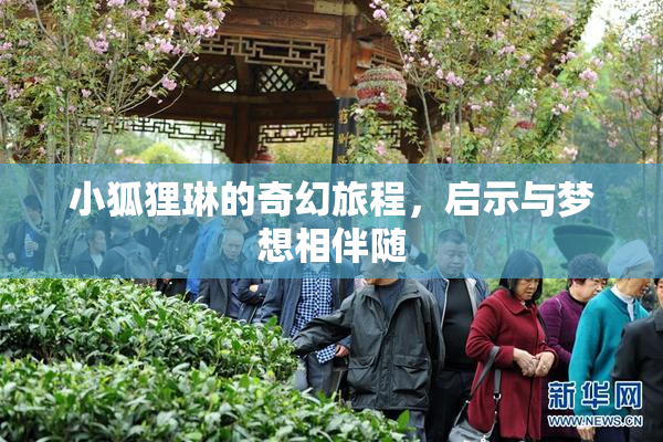 小狐狸琳的奇幻旅程，启示与梦想相伴随