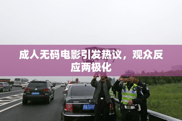 成人无码电影引发热议，观众反应两极化