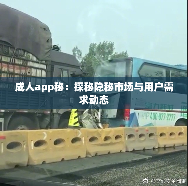 成人app秘：探秘隐秘市场与用户需求动态