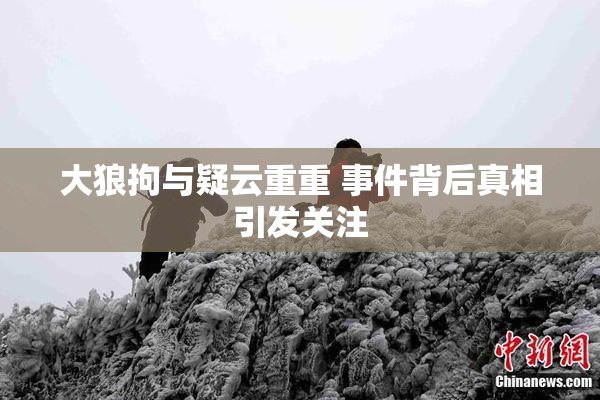 大狼拘与疑云重重 事件背后真相引发关注