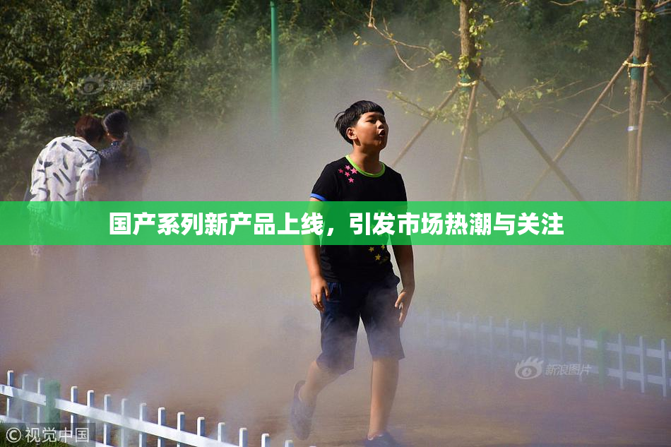 国产系列新产品上线，引发市场热潮与关注