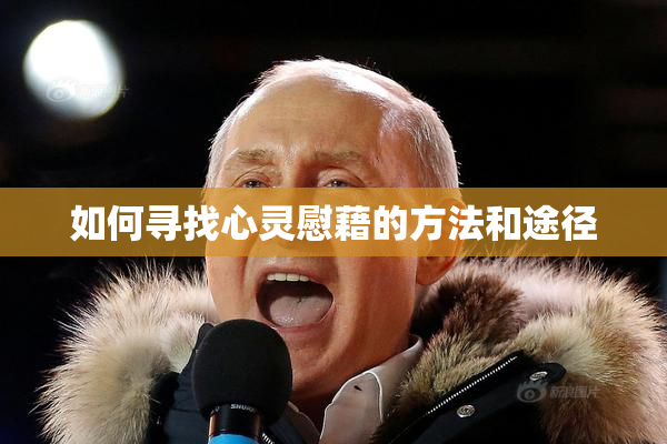 如何寻找心灵慰藉的方法和途径