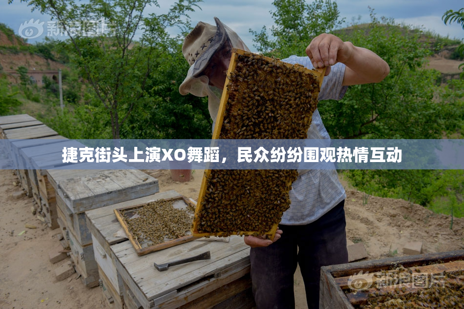 捷克街头上演XO舞蹈，民众纷纷围观热情互动
