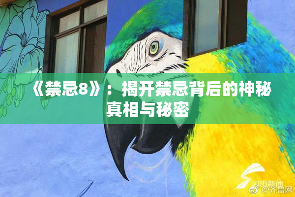 《禁忌8》：揭开禁忌背后的神秘真相与秘密