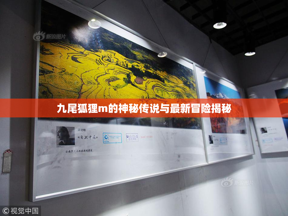 九尾狐狸m的神秘传说与最新冒险揭秘