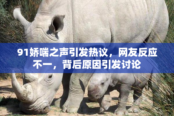 91娇喘之声引发热议，网友反应不一，背后原因引发讨论