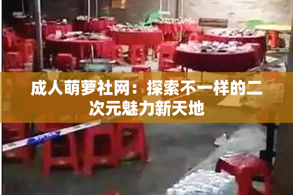 成人萌萝社网：探索不一样的二次元魅力新天地