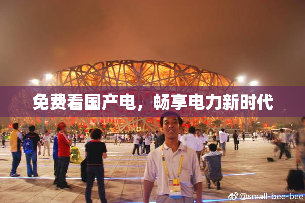 免费看国产电，畅享电力新时代