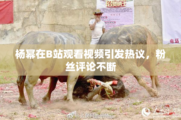 杨幂在B站观看视频引发热议，粉丝评论不断